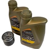Olie service skift HS294 550 ATV - 3 liter olie, og 1 stk. oliefilter, samt luftfilter.