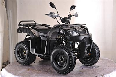 ATV XY250ST -4B - Gear